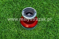 MDPs29. Smok ssawny 110