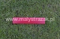 13. Sprosse (Steigung)